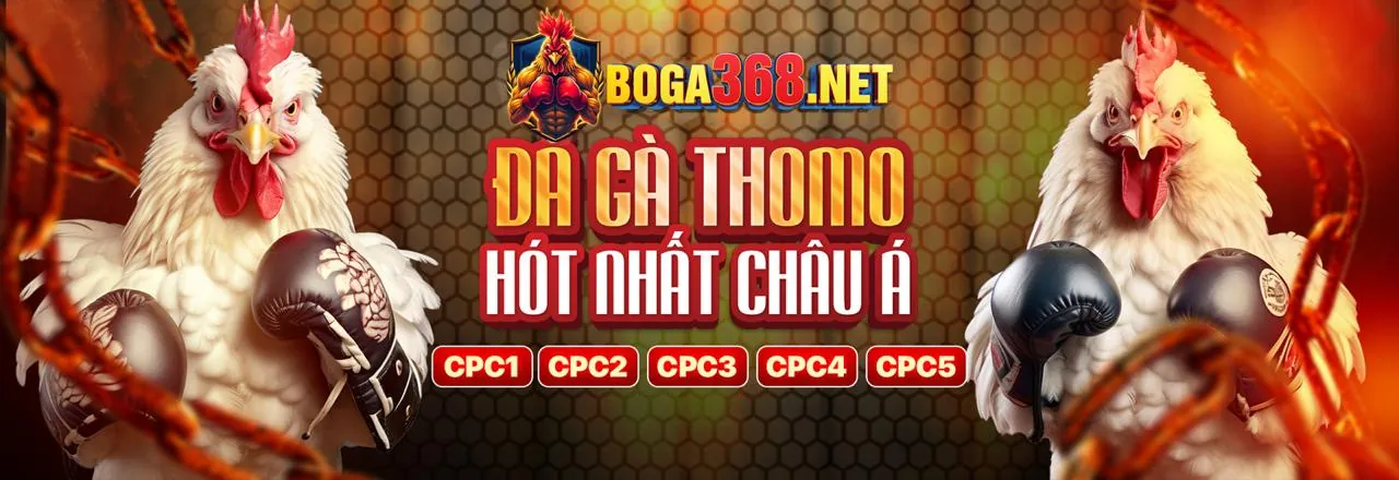 Tải app SM66 trải nghiệm casino và game bài đổi thưởng